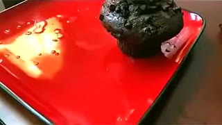 Glamgurlxoxo’s cum-drenched muffin