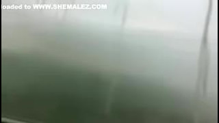 EXPOSED IN PUBLIC......UNDERSTALL COCK SUCKING AND CUM DRINKING FAGGOTS!!!