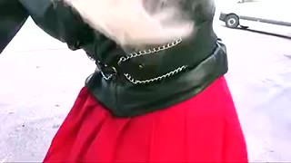stefani boots sexy chastised sissy in stocking ikea