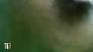 Underwater shemales