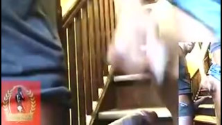 Sexgodent Presents Chicago Tranny Ts Fia 6 Min